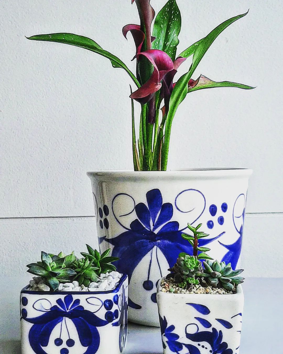 Composición en materas blanco y azul  tipo mediterráneo,  Carmen de Viboral.  #carmendeviboral, Decorgardenhabit.